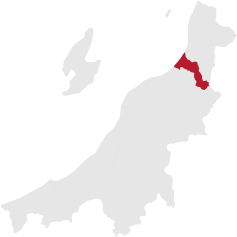 新潟県内での胎内市の位置