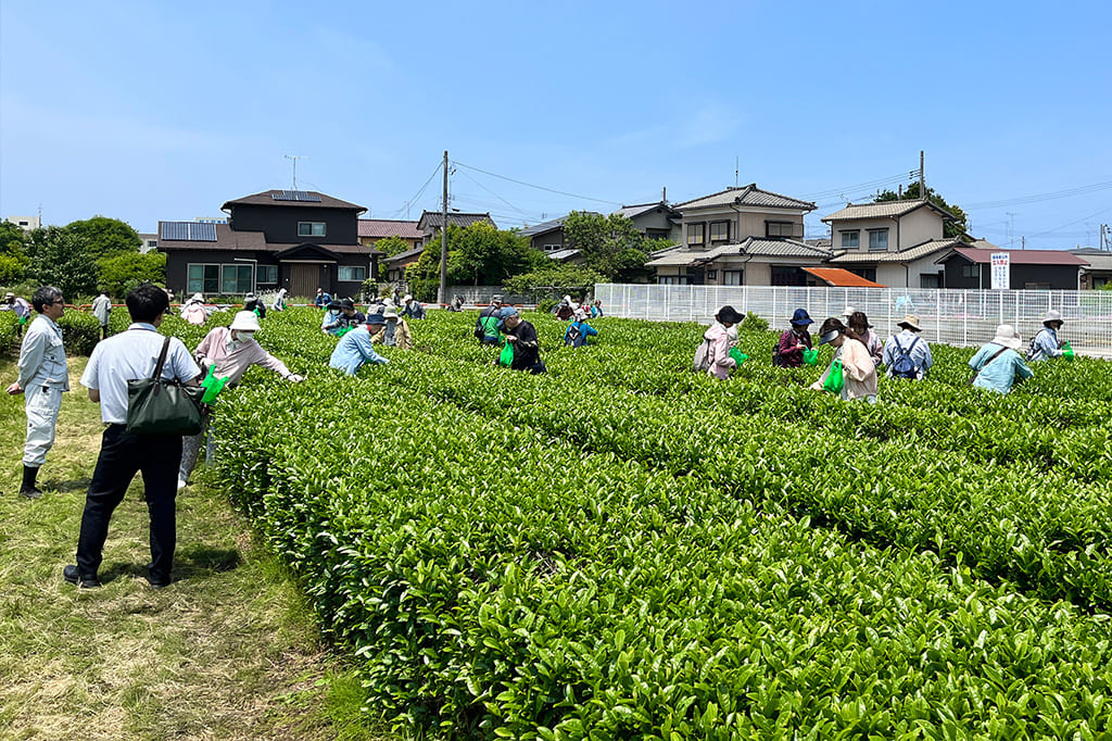 村上茶コース
