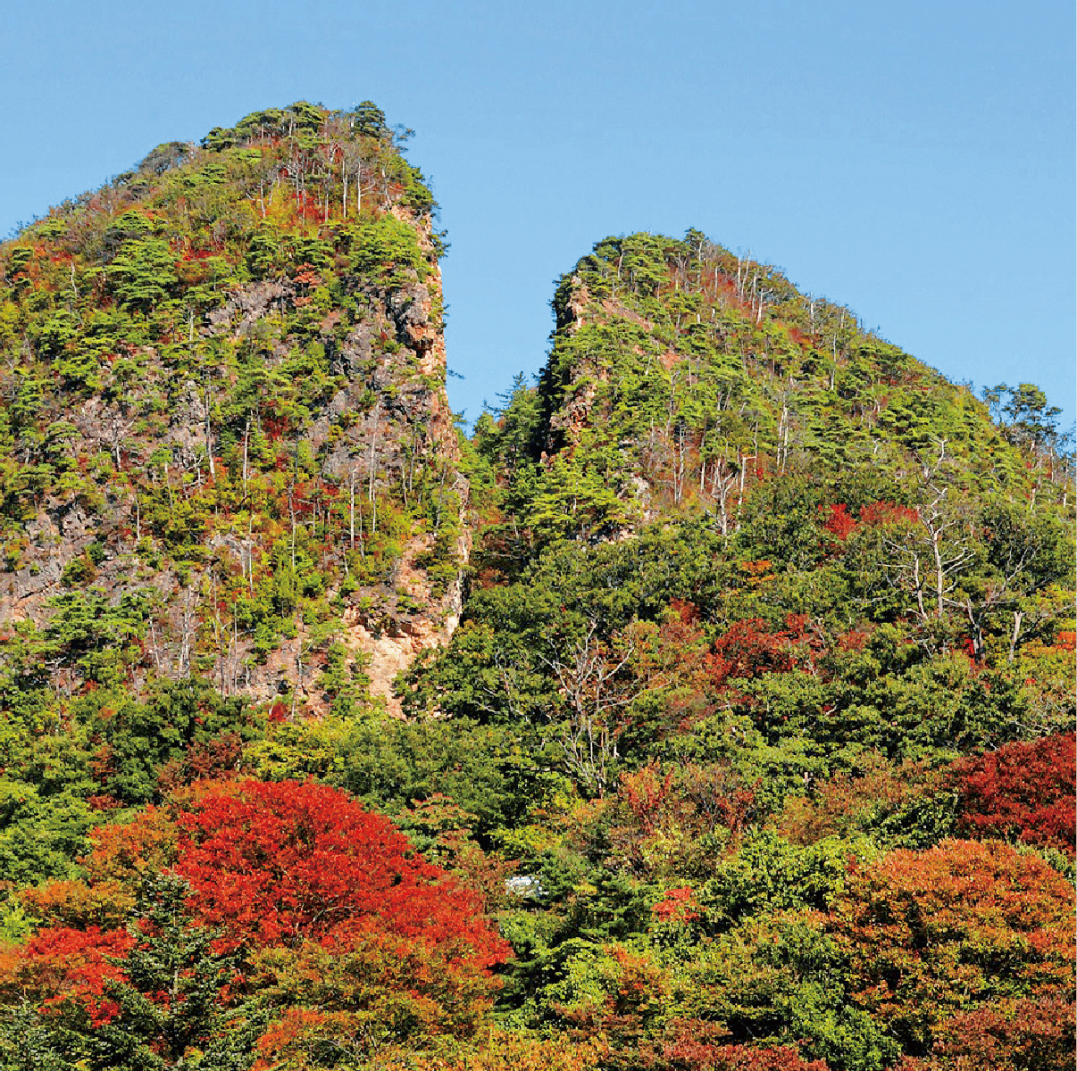 佐渡島