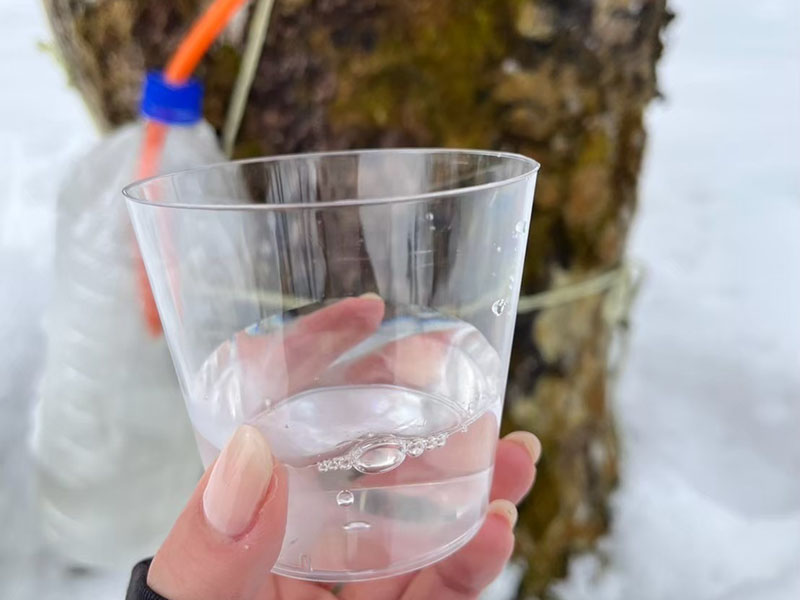 越後ハーブ香園入広瀬
