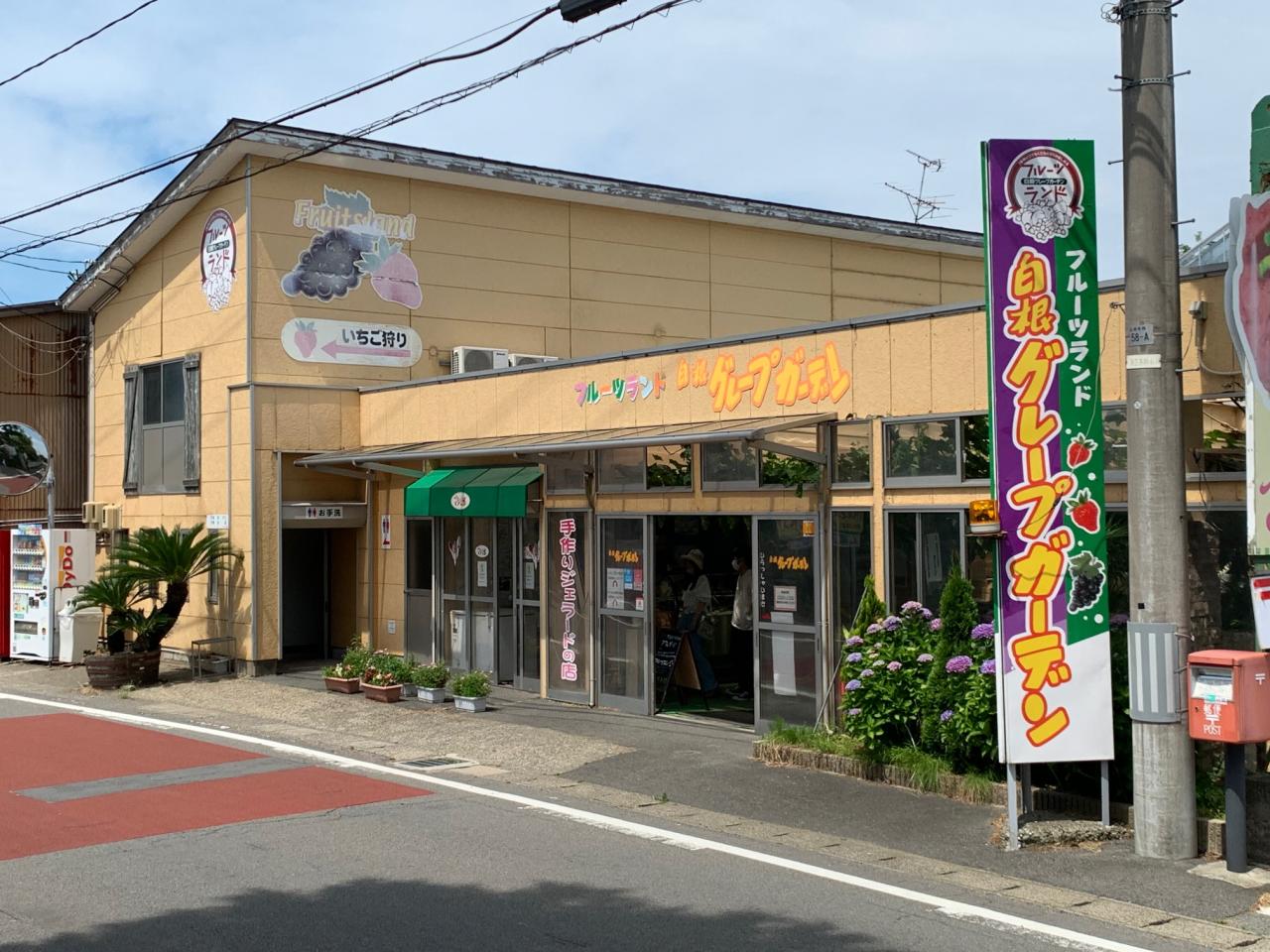 フルーツランド 白根グレープガーデン
