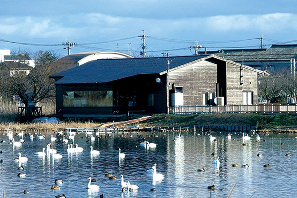 佐潟水鳥・湿地センター