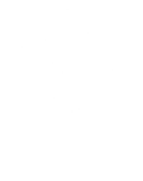 NIIGATA WORKATION