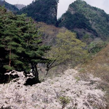 佐渡金山