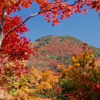 紅葉山