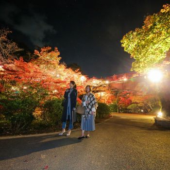 弥彦公園もみじ谷 紅葉ライトアップ