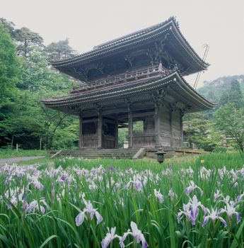 林泉寺山門