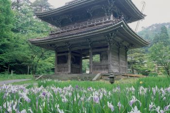 林泉寺山門