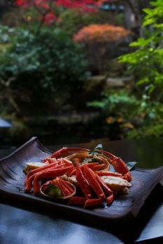 新潟 鍋茶屋