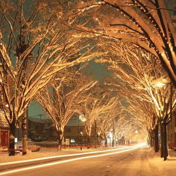 雪のイルミネーション