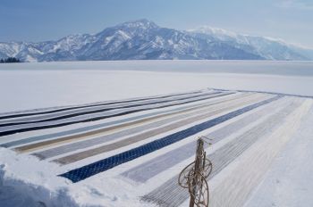 雪さらし｜写真ライブラリー（無料ダウンロード）｜【公式】新潟県の