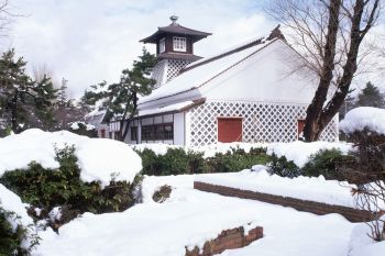 雪の旧税関