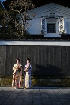 古町芸妓