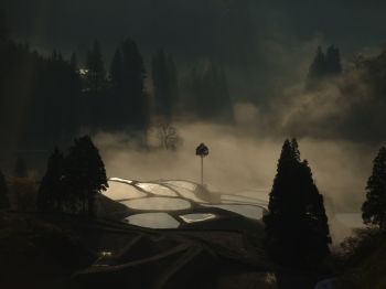 霧湧く棚田