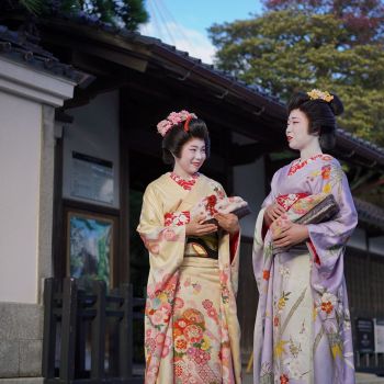 古町芸妓