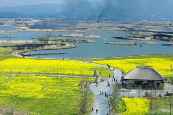 福島潟の春