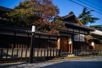古町芸妓