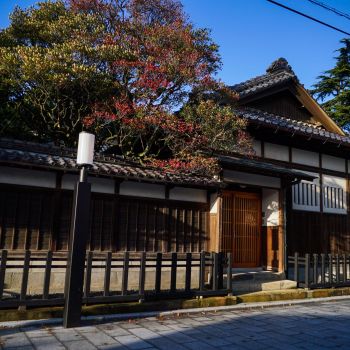 古町芸妓