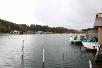あきつ丸の牡蠣