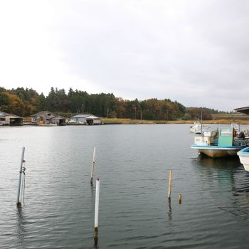 あきつ丸の牡蠣