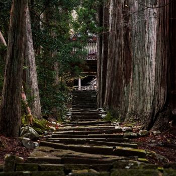 清水寺