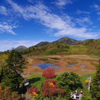 火打山　秋の彩り