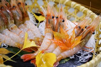Ryokan浦島和食