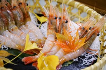Ryokan浦島和食