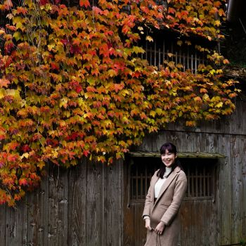 宿根木　周辺