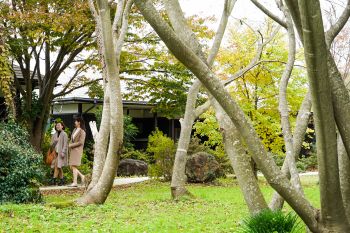 音楽と陶芸の宿　花の木