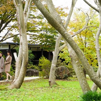 音楽と陶芸の宿　花の木