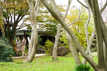音楽と陶芸の宿　花の木