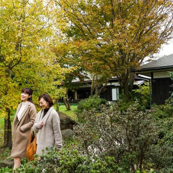音楽と陶芸の宿　花の木