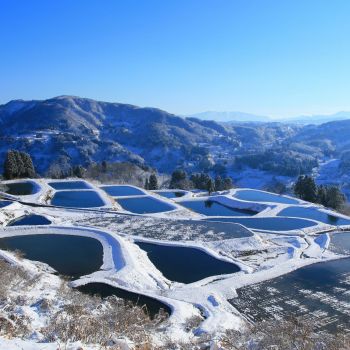 雪化粧