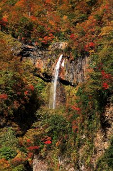 秋彩の惣滝