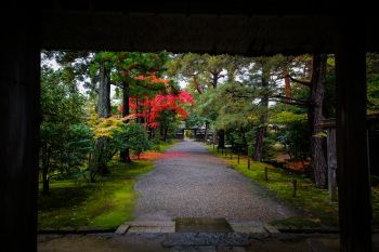 清水園