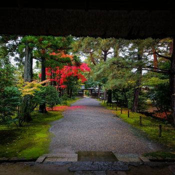 清水園