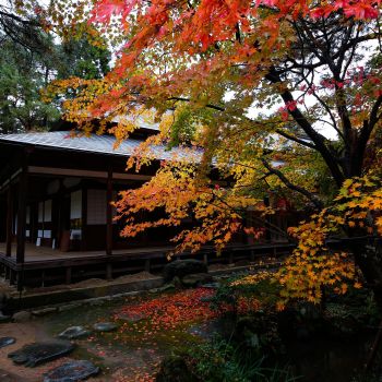 清水園