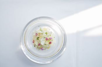 イル リポーゾ （IL RIPOSO）