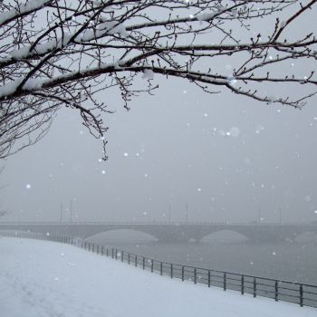 雪の萬代橋１