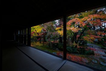 清水園
