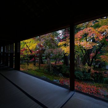清水園