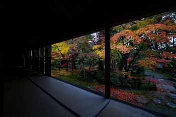 清水園