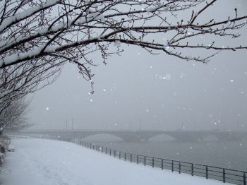 雪の萬代橋１