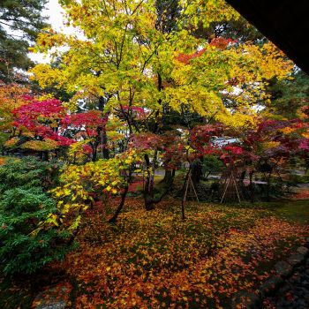 清水園