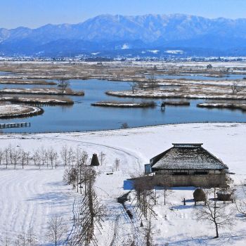 福島潟雪景