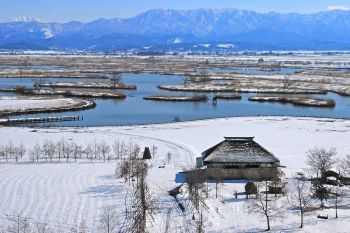 福島潟雪景