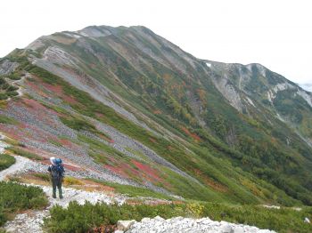 小蓮華山の山道