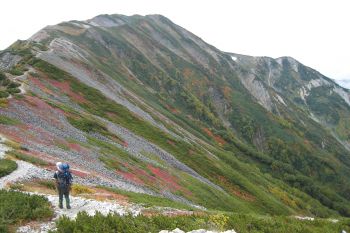 小蓮華山の山道