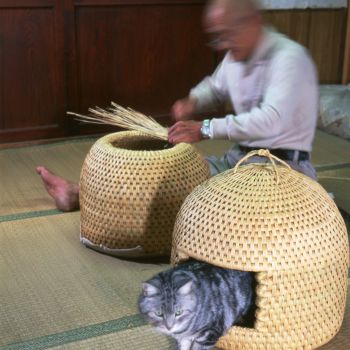 猫ちぐら